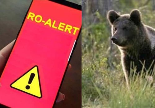 ro-alert-ursi